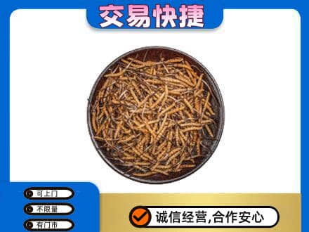 图们市礼品回收虫草.jpg